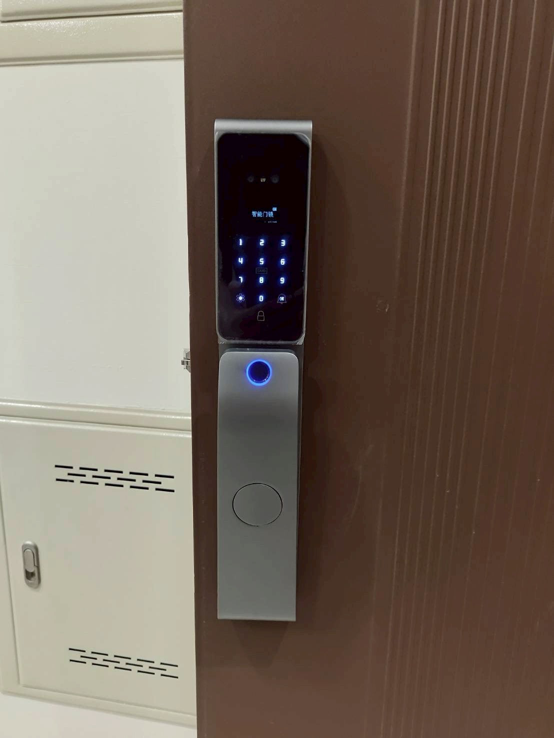 台中外埔｜超薄款掌靜脈人臉辨識電子鎖