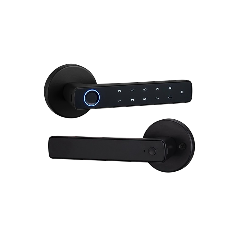 【Winson 威聲智能家居】DJ01 智能門把款