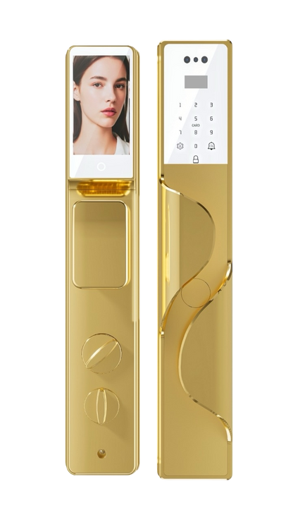 【Winson 威聲智能家居】S9流線款 十合一掌靜脈人臉辨識智能鎖